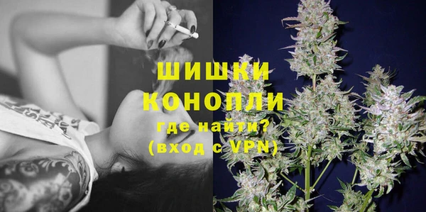 первитин Инсар
