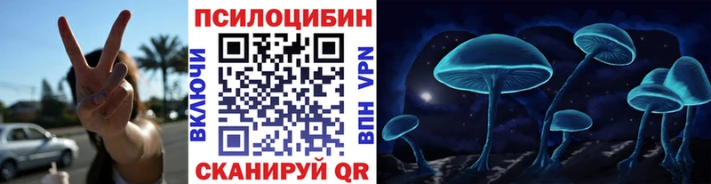 Купить  Кинель  Псилоцибиновые грибы Psilocybine cubensis 